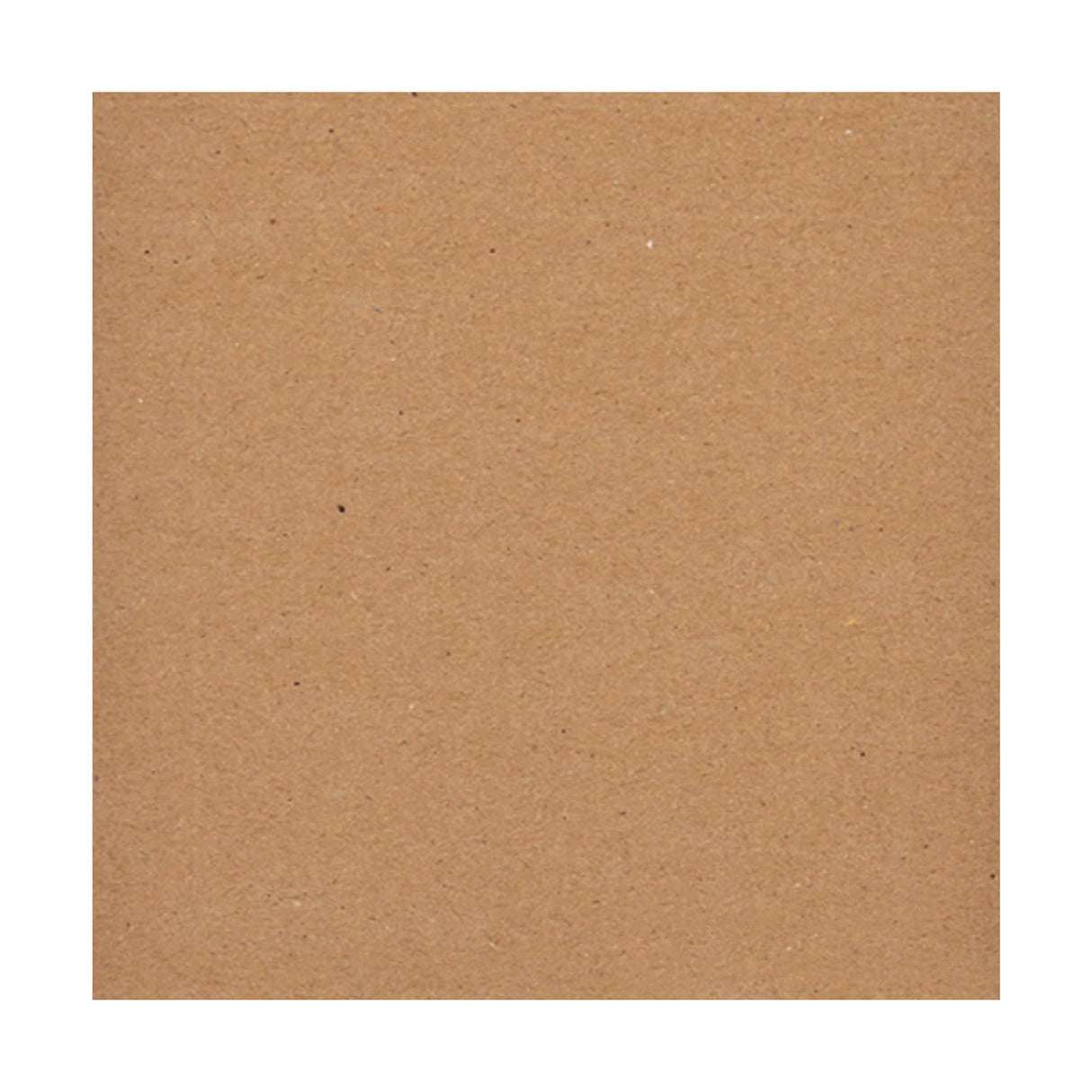 12" LP Vinyl Mailer Stiffener Lil Packaging