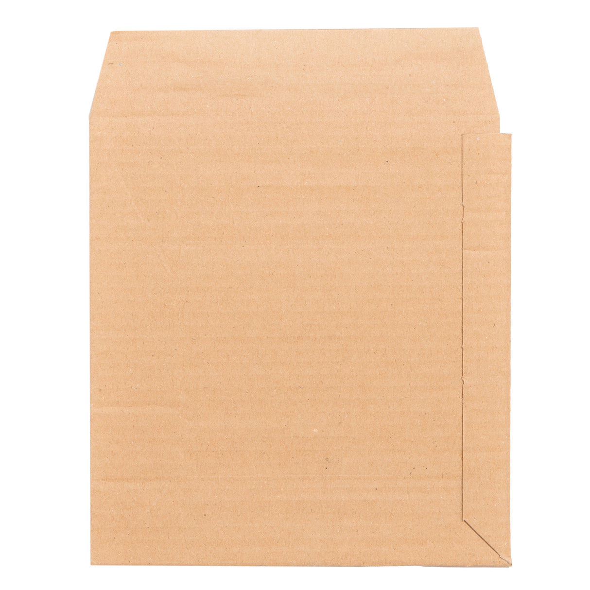 M-CD Cardboard Envelope Mailer | Lil Packaging