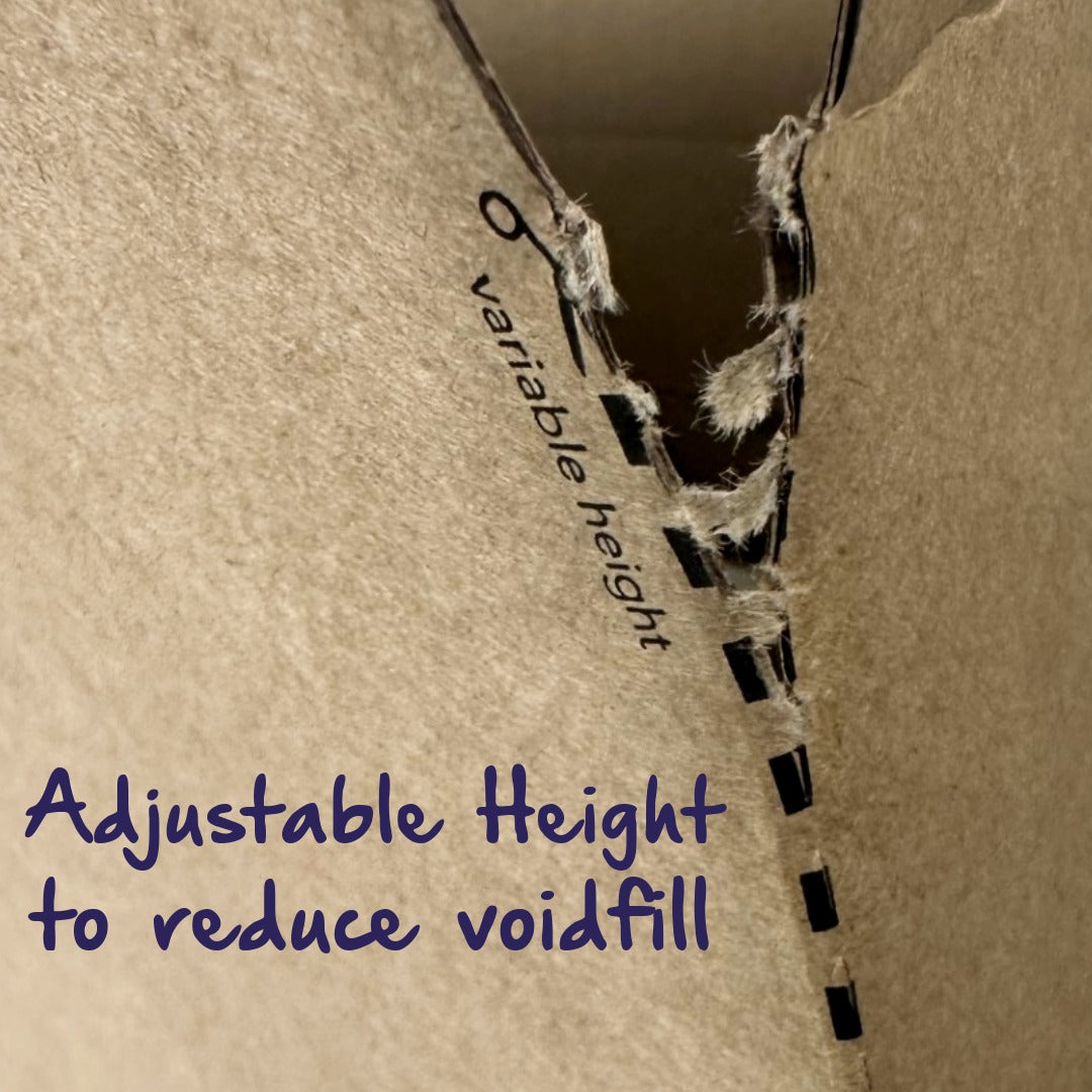 Lil Crashlock Variable Height SML