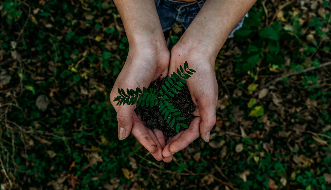 The cost savings of sustainable ecommerce packaging