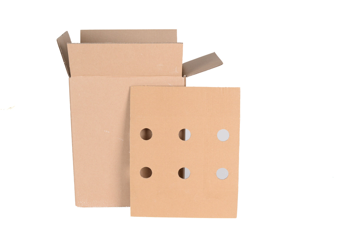 6 Bottle Packaging Box with Integrated Dividers & Neck Protectors