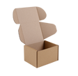 An open brown cardboard shipping box with a hinged lid, shown on a plain white background.