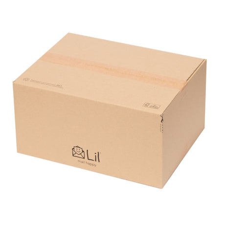 E6 Single Walled Cardboard Box | Lil Packaging