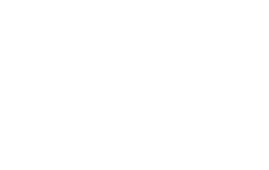 Lil packaging shop logo